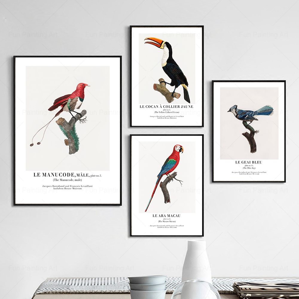 Vintage Paradise Bird Wall Art – Furniture Paradise & Hardware Ghaziabad recenzja i cena